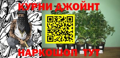 не бодяженный Заводоуковск