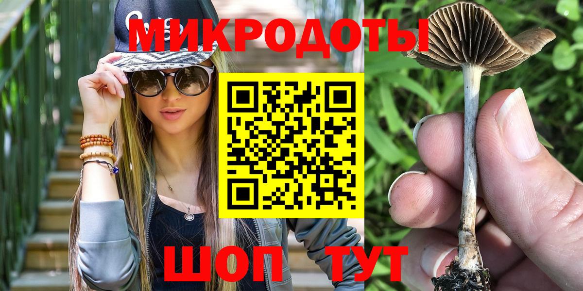 Галлюциногенные грибы GOLDEN TEACHER  где можно купить наркотик  Лесной  Вход с VPN 